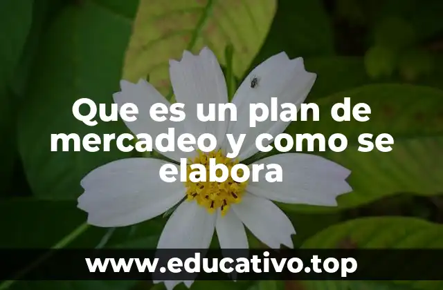 Que es un plan de mercadeo y como se elabora