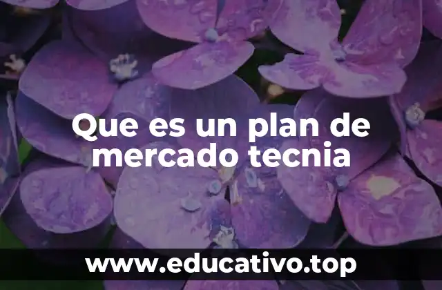 Que es un plan de mercado tecnia
