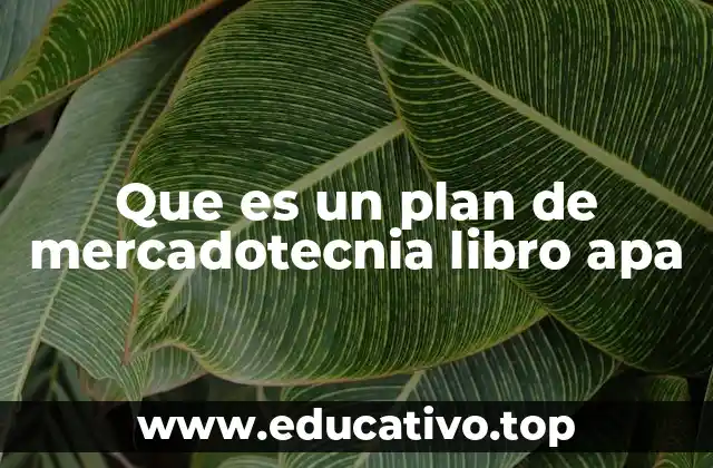 Que es un plan de mercadotecnia libro apa