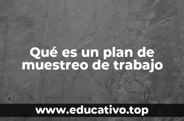 Qué es un plan de muestreo de trabajo