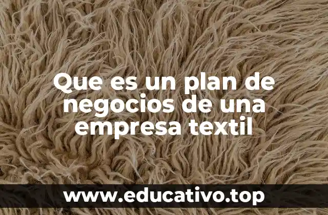 Que es un plan de negocios de una empresa textil
