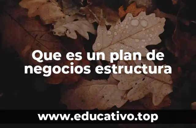 Que es un plan de negocios estructura