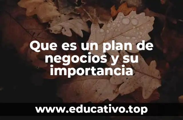 Que es un plan de negocios y su importancia