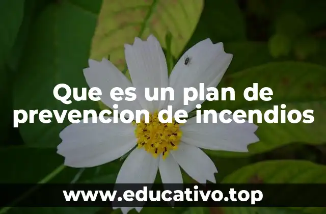 Que es un plan de prevencion de incendios