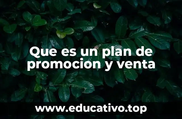 Que es un plan de promocion y venta
