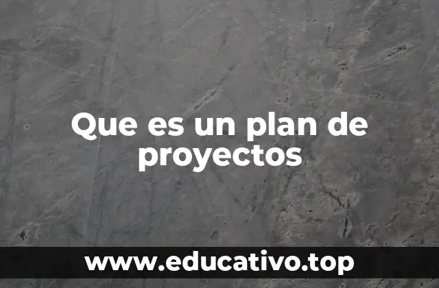 Que es un plan de proyectos