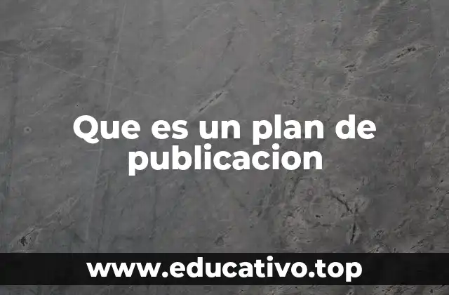 Que es un plan de publicacion