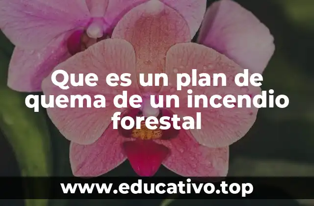 Que es un plan de quema de un incendio forestal