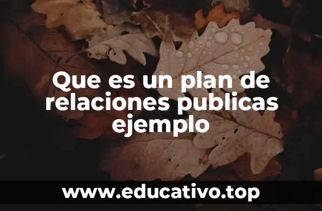 Que es un plan de relaciones publicas ejemplo
