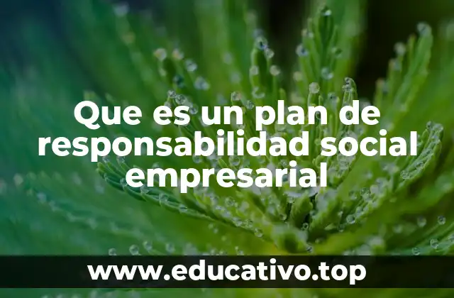 Que es un plan de responsabilidad social empresarial