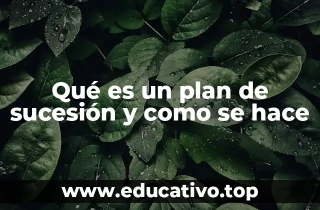 Qué es un plan de sucesión y como se hace