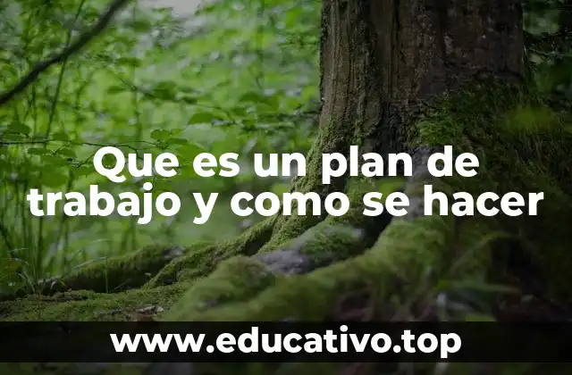 Que es un plan de trabajo y como se hacer