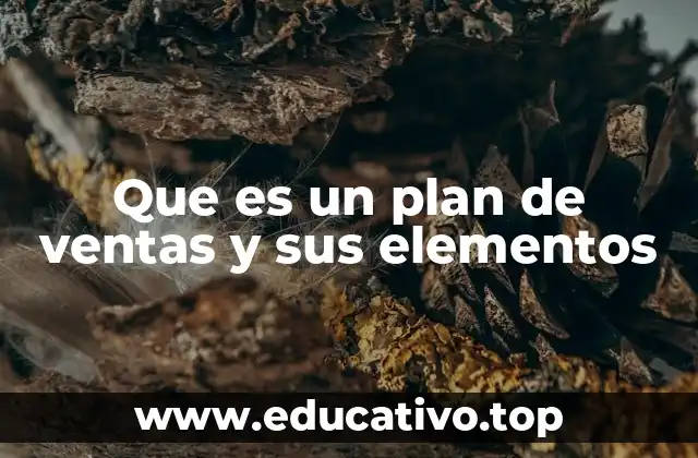 Que es un plan de ventas y sus elementos
