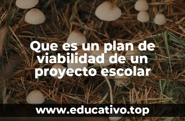 Que es un plan de viabilidad de un proyecto escolar