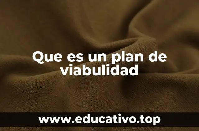 Que es un plan de viabulidad
