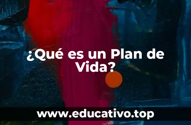 ¿Qué es un Plan de Vida?