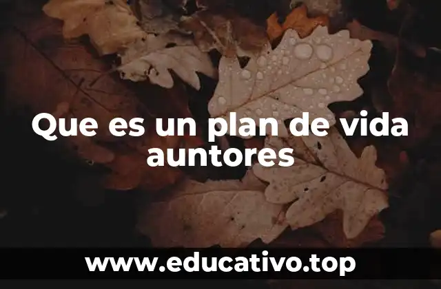 Que es un plan de vida auntores