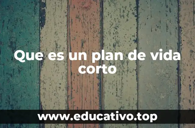 Que es un plan de vida corto