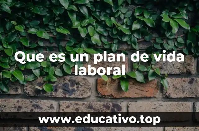 Que es un plan de vida laboral