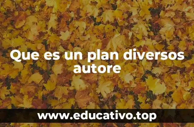 Que es un plan diversos autore