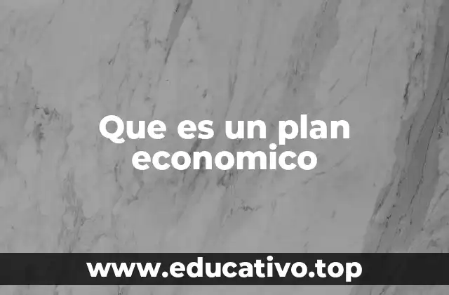 Que es un plan economico
