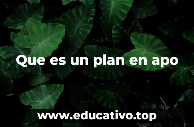 Que es un plan en apo