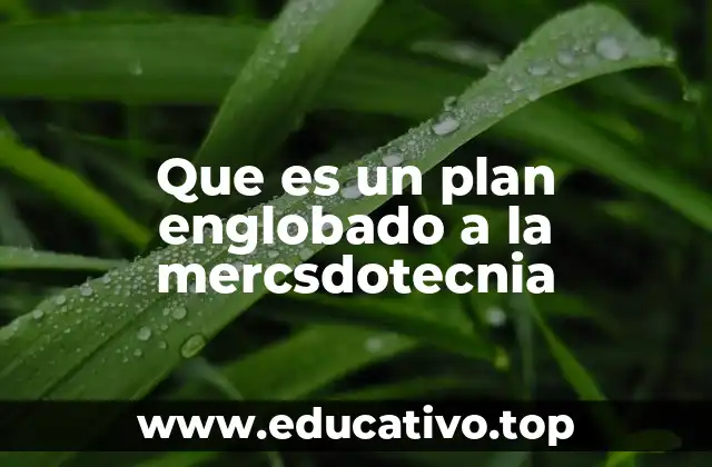 Que es un plan englobado a la mercsdotecnia