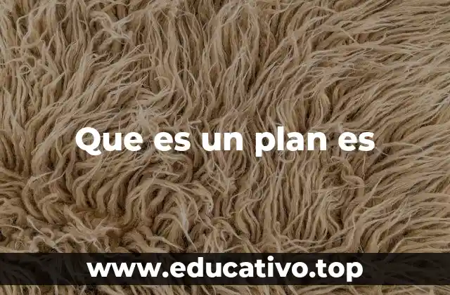 Que es un plan es