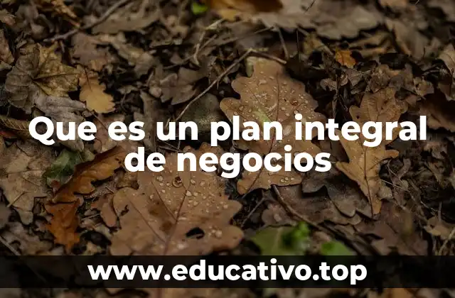 Que es un plan integral de negocios