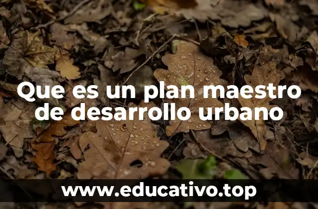 Que es un plan maestro de desarrollo urbano
