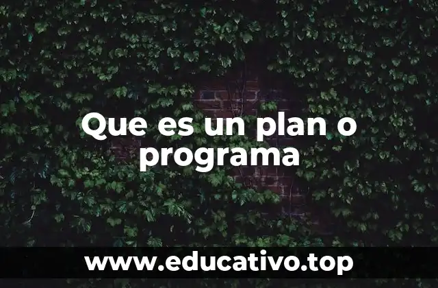 Que es un plan o programa