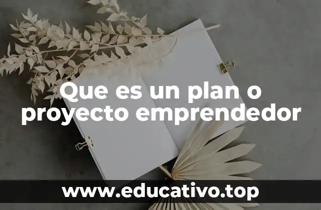 Que es un plan o proyecto emprendedor