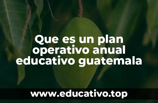 Que es un plan operativo anual educativo guatemala