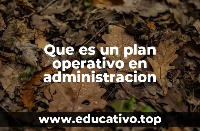 Que es un plan operativo en administracion