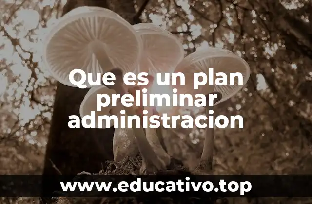 La importancia del diseño estratégico en la gestión empresarial