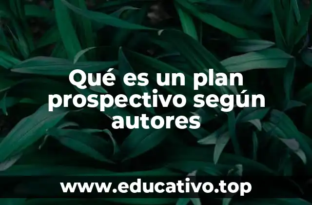 Qué es un plan prospectivo según autores