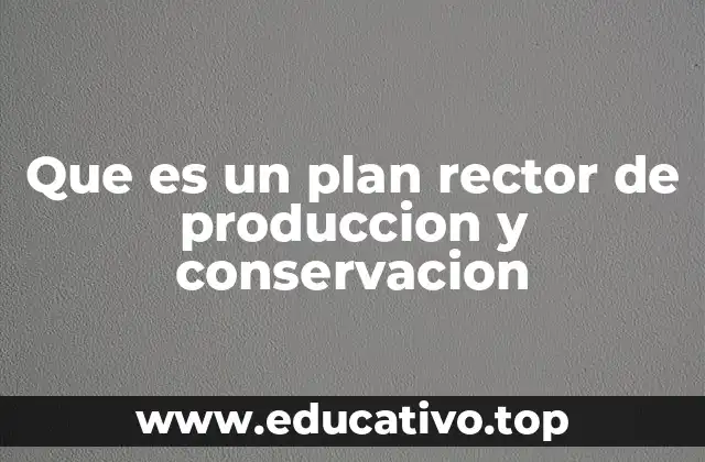Que es un plan rector de produccion y conservacion