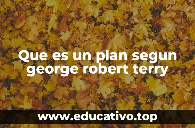 Que es un plan segun george robert terry
