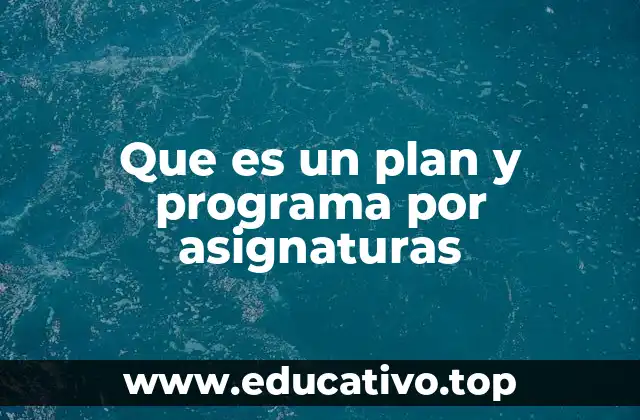 Que es un plan y programa por asignaturas