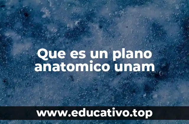 Que es un plano anatomico unam