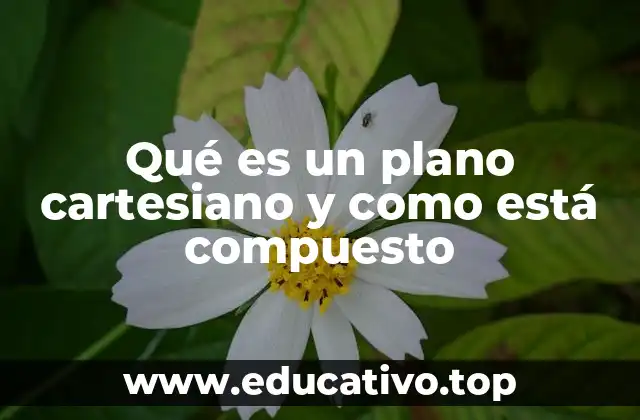 Qué es un plano cartesiano y como está compuesto