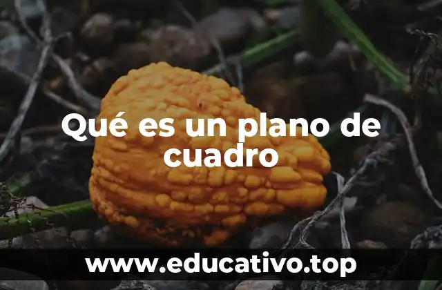 Qué es un plano de cuadro