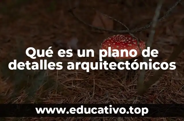 Qué es un plano de detalles arquitectónicos