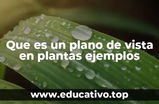 Que es un plano de vista en plantas ejemplos