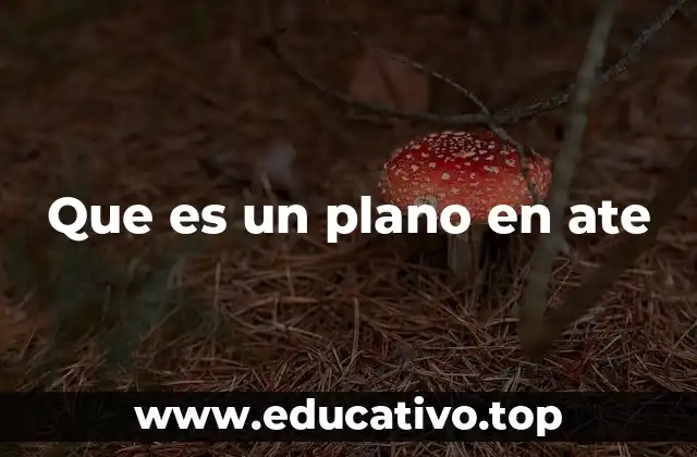 Que es un plano en ate