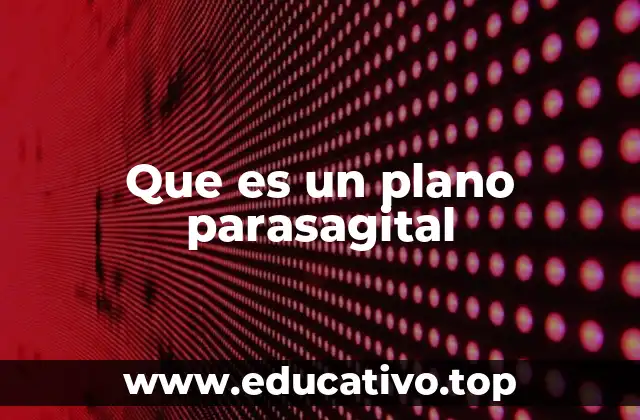 Que es un plano parasagital