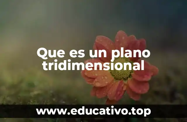 Que es un plano tridimensional