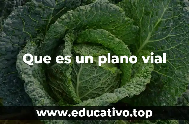 Que es un plano vial