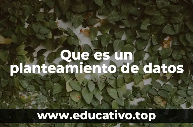 Que es un planteamiento de datos