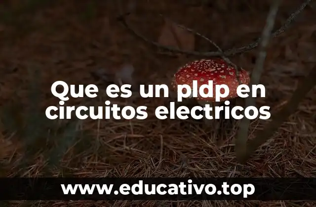 Que es un pldp en circuitos electricos